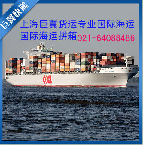 茶葉國(guó)際快遞就找上海巨翼！